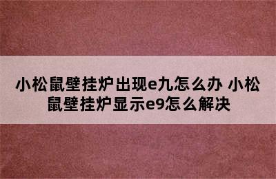 小松鼠壁挂炉出现e九怎么办 小松鼠壁挂炉显示e9怎么解决